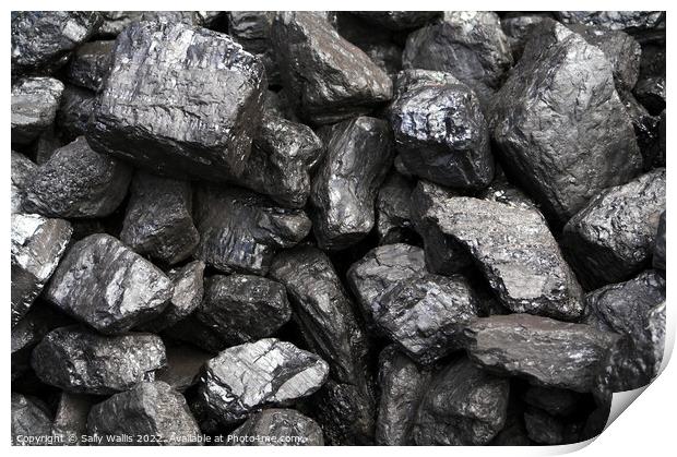 Coal  Print by Sally Wallis