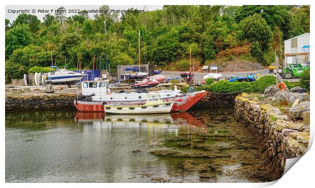 Galmpton Creek Brixham Devon Print by Peter F Hunt