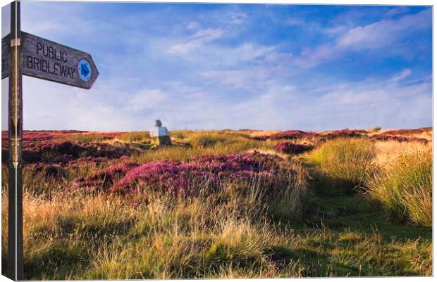 Footpath Across the Heather Moors Canvas Print by Martyn Arnold