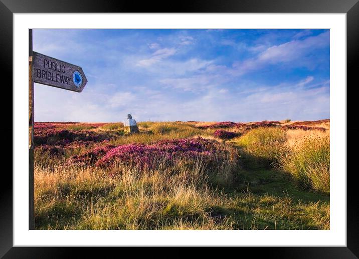 Footpath Across the Heather Moors Framed Mounted Print by Martyn Arnold