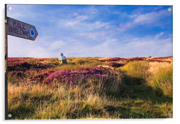 Footpath Across the Heather Moors Acrylic by Martyn Arnold