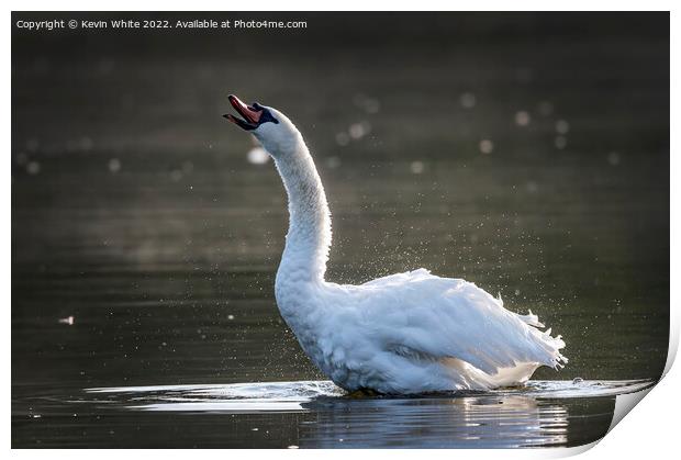 Trumpet sound of swan Print by Kevin White