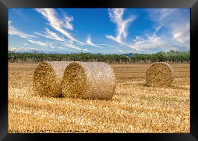 Outdoor field Framed Print by David Smith