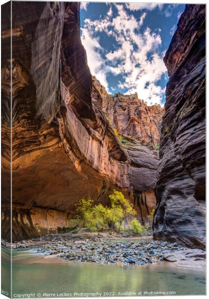 Walking in the Virgin river of Zion Canvas Print by Pierre Leclerc Photography