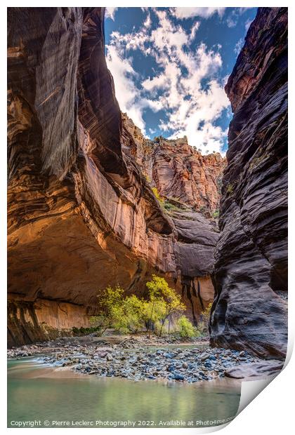 Walking in the Virgin river of Zion Print by Pierre Leclerc Photography
