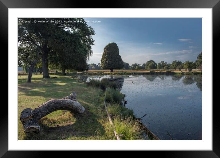 Natural seating log after walk Framed Mounted Print by Kevin White