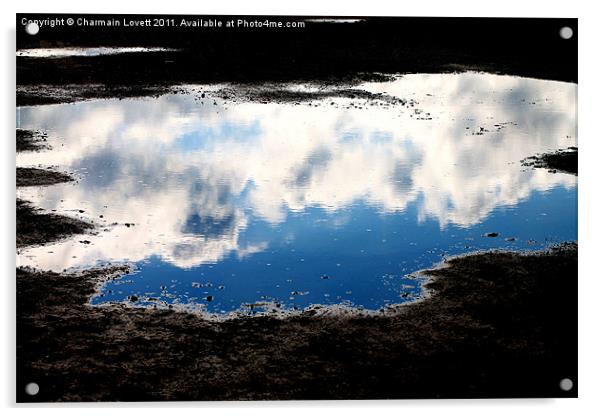Reflection Acrylic by Charmain Lovett