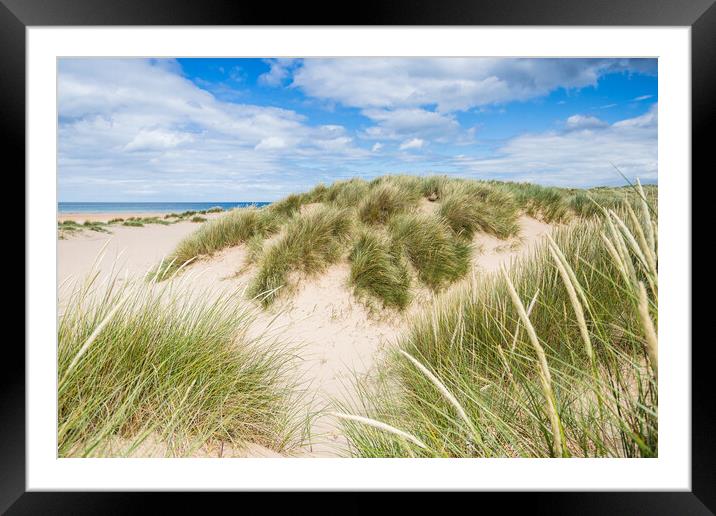Holkham beach sand dunes Framed Mounted Print by Jason Wells
