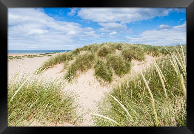 Holkham beach sand dunes Framed Print by Jason Wells