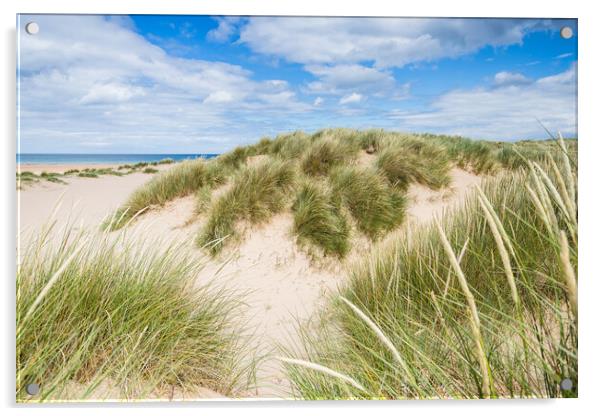 Holkham beach sand dunes Acrylic by Jason Wells