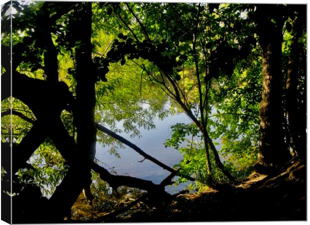 Shady bank of the river Canvas Print by Stephanie Moore