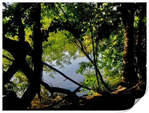 Shady bank of the river Print by Stephanie Moore