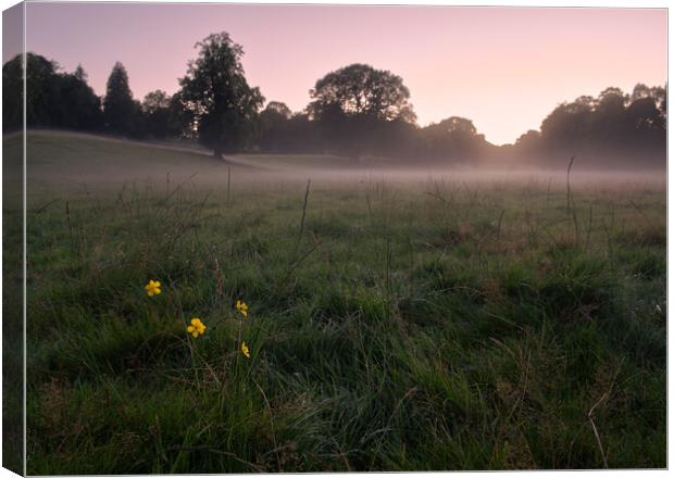 A misty field Dumfries  Canvas Print by christian maltby