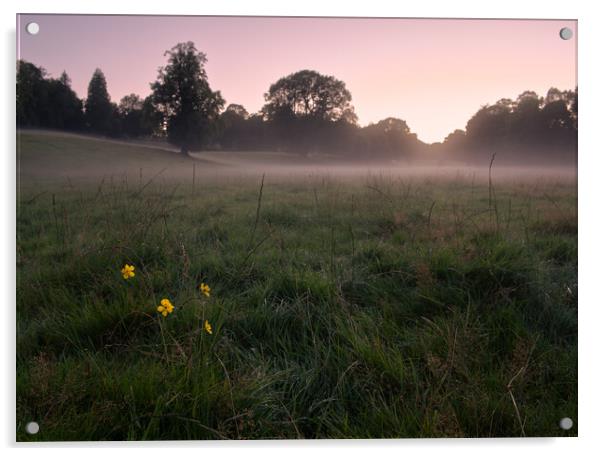 A misty field Dumfries  Acrylic by christian maltby