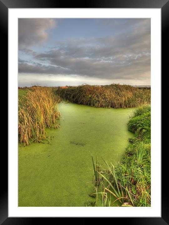 Green Water Framed Mounted Print by Mike Gorton