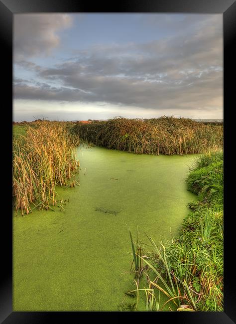 Green Water Framed Print by Mike Gorton
