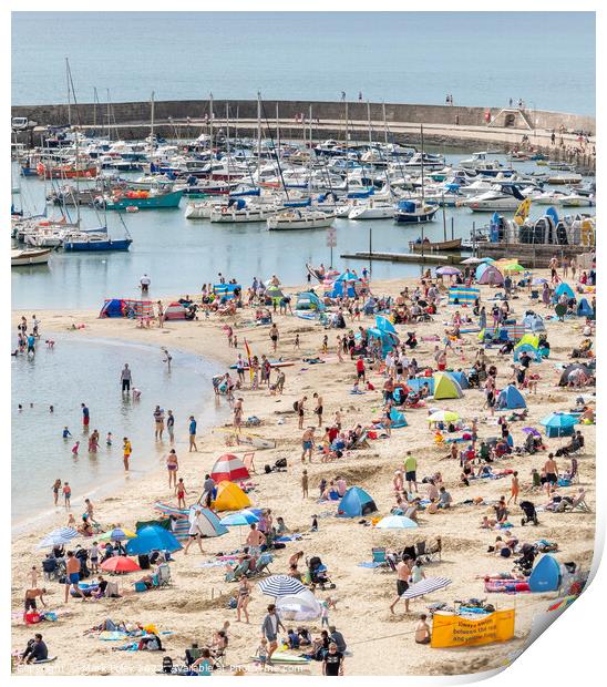 Lyme Regis Beach and Harbour Print by Mark Poley