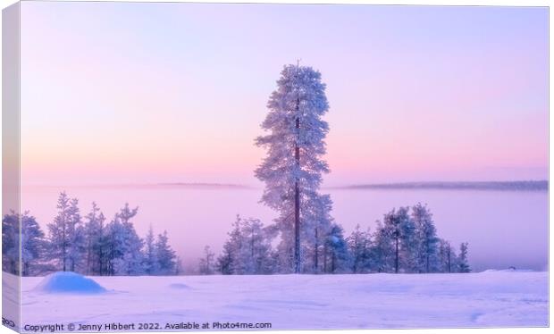Dawn rising in the winter in Finland Canvas Print by Jenny Hibbert