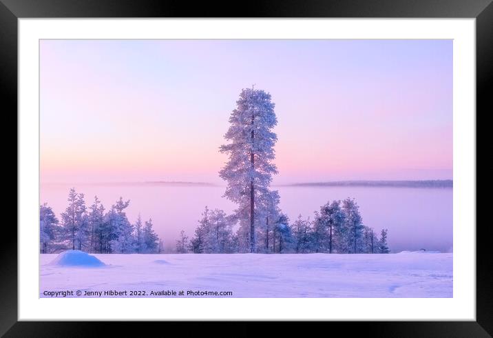 Dawn rising in the winter in Finland Framed Mounted Print by Jenny Hibbert