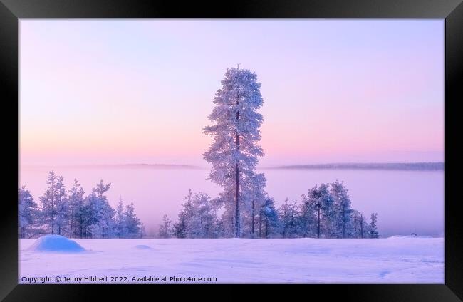 Dawn rising in the winter in Finland Framed Print by Jenny Hibbert
