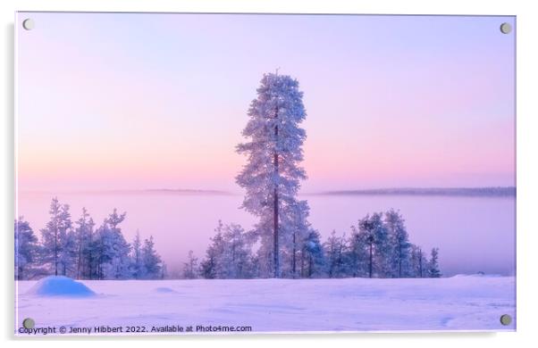 Dawn rising in the winter in Finland Acrylic by Jenny Hibbert