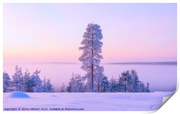 Dawn rising in the winter in Finland Print by Jenny Hibbert