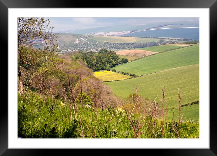 View from Downs in Friston Forest East Sussex Framed Mounted Print by Sally Wallis