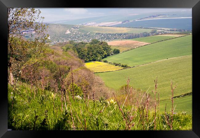 View from Downs in Friston Forest East Sussex Framed Print by Sally Wallis