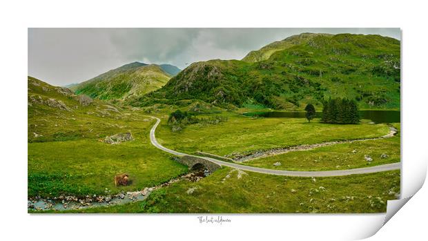 The last wilderness, Highlands of Scotland Print by JC studios LRPS ARPS