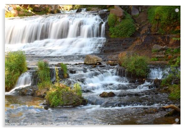 Willow River Falls Aug 23rd (24A) Acrylic by Philip Lehman