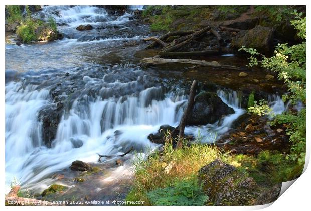 Willow River Falls Aug 23rd (12A) Print by Philip Lehman