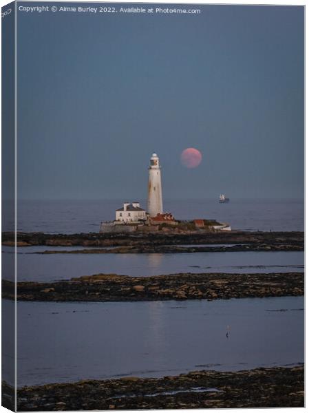 Moon Rise Over St Mary's  Canvas Print by Aimie Burley