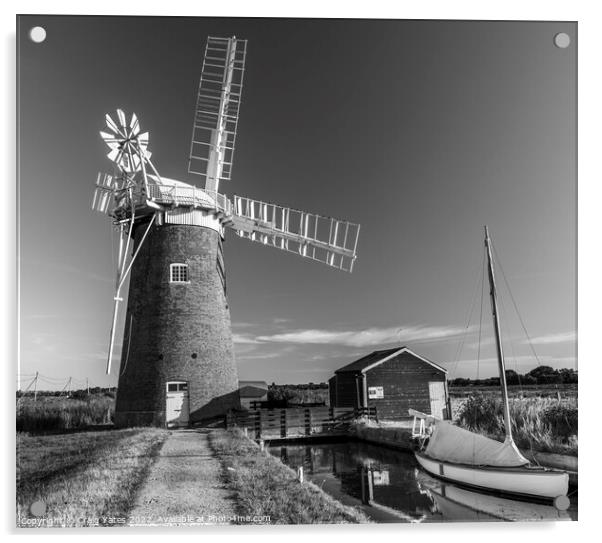 Horsey Windpump Norfolk. Black and white Acrylic by Craig Yates
