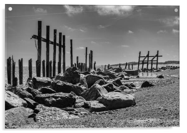 Happisburgh wooden sea defences black and white. Acrylic by Craig Yates