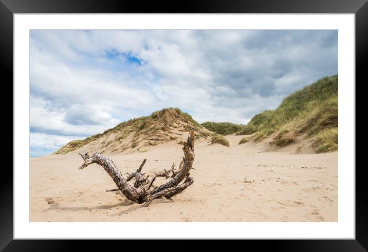 Drift wood on Formby beach Framed Mounted Print by Jason Wells