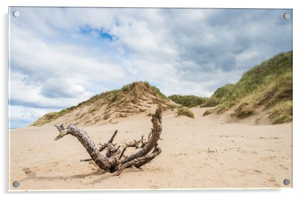 Drift wood on Formby beach Acrylic by Jason Wells