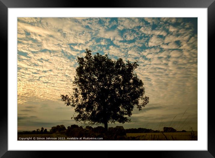 isolated tree Framed Mounted Print by Simon Johnson