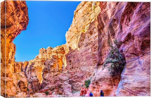 Outer Siq Canyon Hiking Entrance Petra Jordan  Canvas Print by William Perry