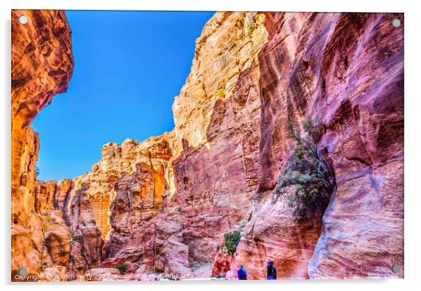 Outer Siq Canyon Hiking Entrance Petra Jordan  Acrylic by William Perry