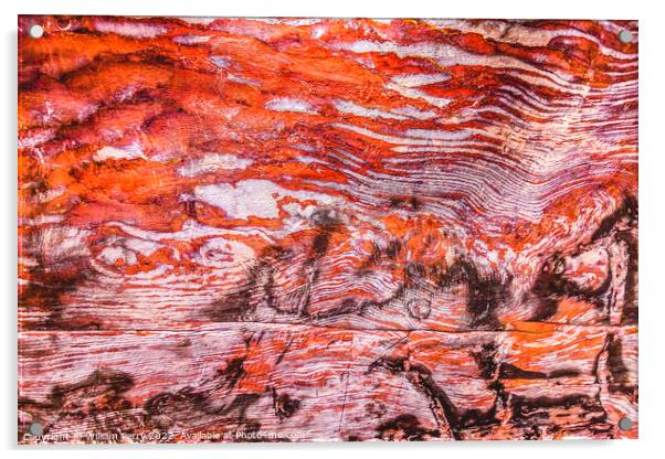 Orange Red Black White Rock Ceiling Royal Tomb Petra Jordan  Acrylic by William Perry
