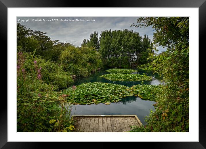 Lily Pads in Meggie’s Burn Framed Mounted Print by Aimie Burley