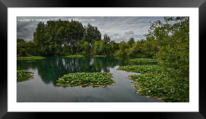 Tranquil pond Framed Mounted Print by Aimie Burley