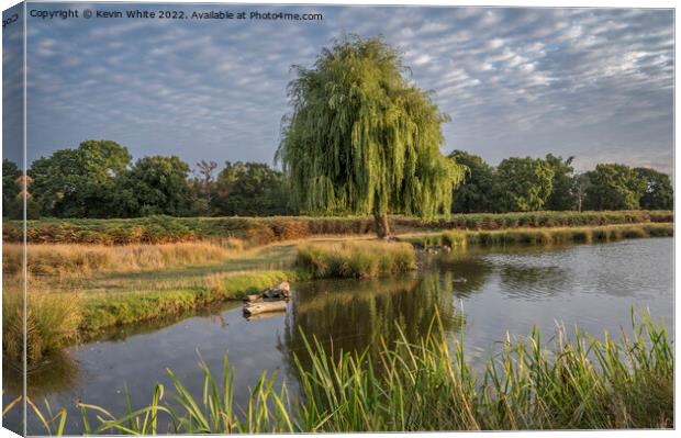 Bright August sunny morning at Bushy Park Canvas Print by Kevin White