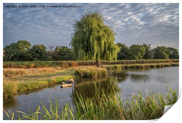 Bright August sunny morning at Bushy Park Print by Kevin White