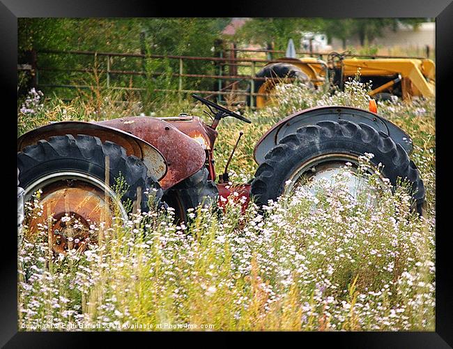 Tractor in field Framed Print by Patti Barrett