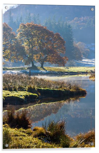 River Brathay on cold Autumn morning, Cumbria Acrylic by Photimageon UK