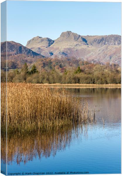 Elterwater and Langdale Pikes, Cumbria Canvas Print by Photimageon UK