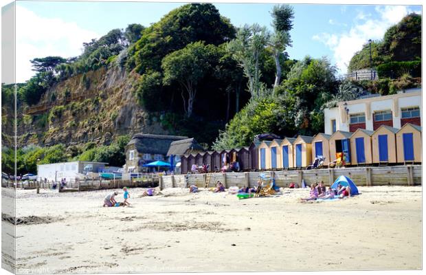 Chine beach Shanklin, Isle of Wight. Canvas Print by john hill