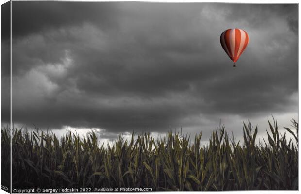 Hot air balloon flying over a corn field Canvas Print by Sergey Fedoskin