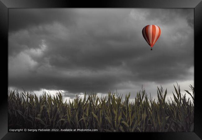 Hot air balloon flying over a corn field Framed Print by Sergey Fedoskin